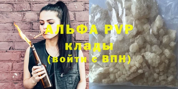 ешки Новодвинск