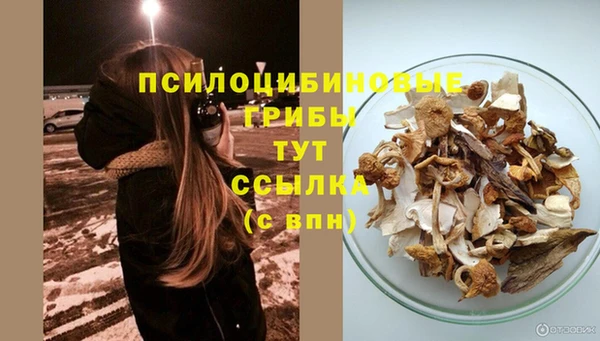 спайс Алексин