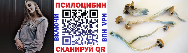Псилоцибиновые грибы MAGIC MUSHROOMS  наркотики  Белая Калитва 